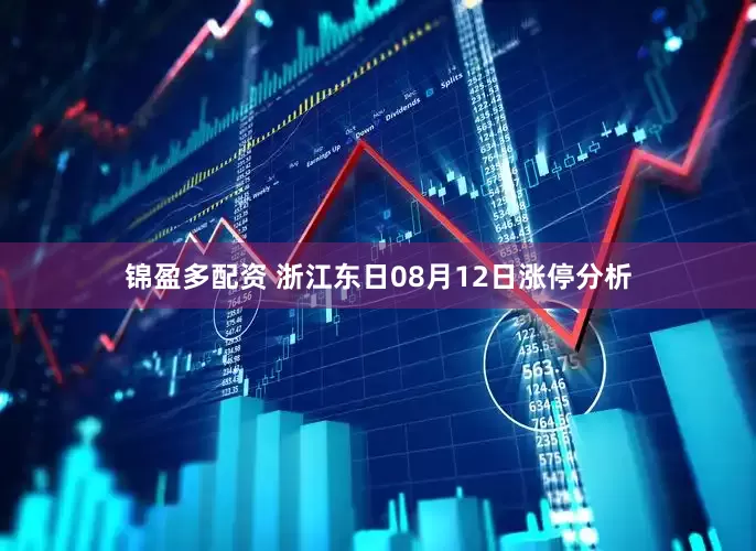 锦盈多配资 浙江东日08月12日涨停分析