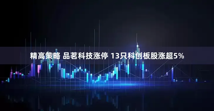 精高策略 品茗科技涨停 13只科创板股涨超5%